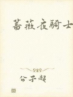蔷薇夜骑士