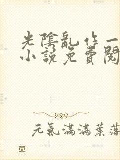 光阴乱作一团的小说免费阅读