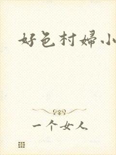 好色村妇小银贼封面