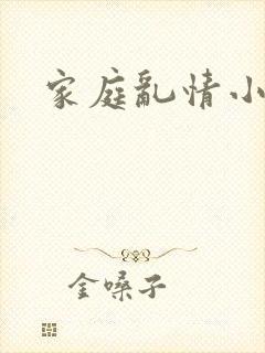 家庭乱情小说封面
