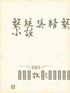 系统集精系统 小说