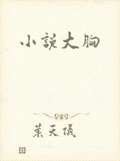 小说大胸