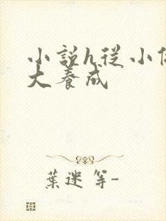 小说h从小做到大养成