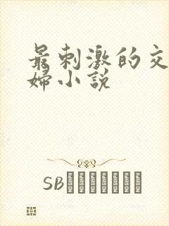 最刺激的交换夫妇小说