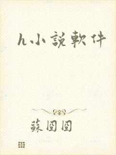 h小说软件