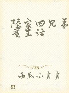 陆家四兄弟的甜蜜生活
