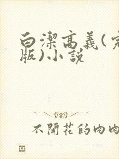 白洁高义(完整版)小说封面
