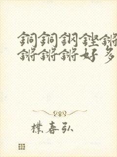 铜铜钢铿锵锵锵锵锵锵好多少阅读封面
