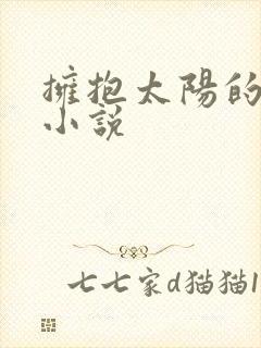 拥抱太阳的月亮小说封面