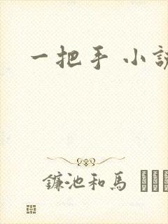 一把手 小说