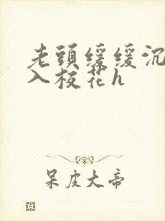 老头缓缓沉腰进入校花h