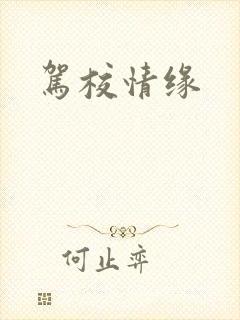 驾校情缘