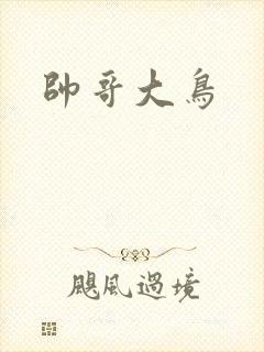 帅哥大鸟
