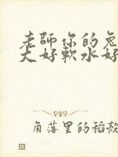 老师你的兔子好大好软水好多