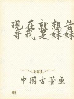 现在就想告诉哥哥我是妹妹
