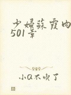 少妇苏霞肉欲第501章