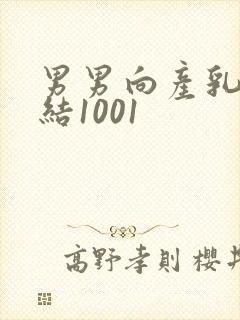 男男向产乳文小结1001封面