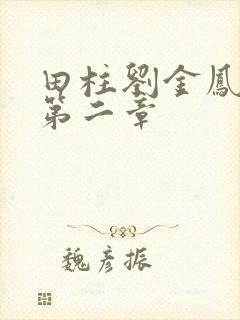 田柱刘金凤小说第二章封面