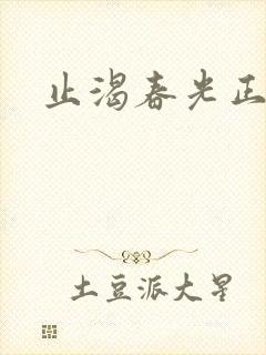止渴春光正好封面