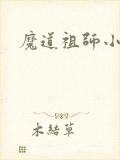 魔道祖师小说封面