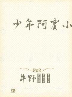 少年阿宾小说封面