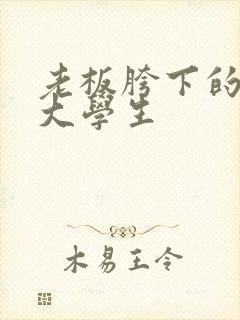 老板胯下的秘书大学生封面