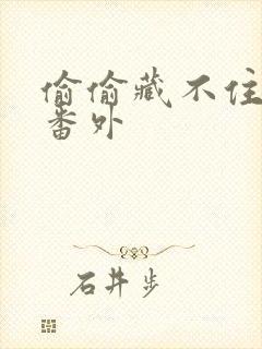 偷偷藏不住新婚番外