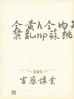 全黄h全肉短篇禁乱np苏桃