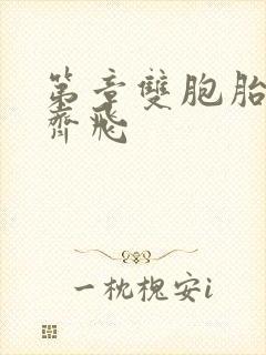 第章双胞胎姐妹齐飞