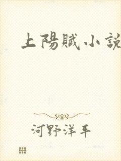 上阳赋小说