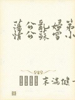 荡公乱妇第1章情公苏雪小说