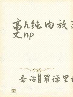 高h纯肉放荡h文np封面