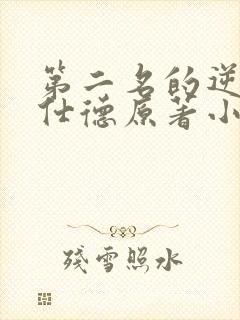 第二名的逆袭高仕德原著小说