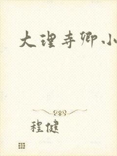 大理寺卿小说