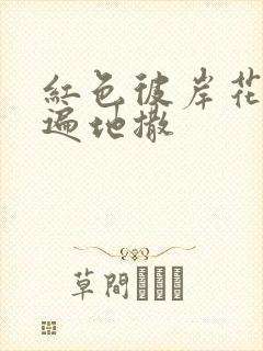 红色彼岸花花瓣遍地撒
