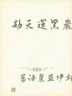 劫天运黑岩