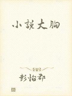 小说大胸