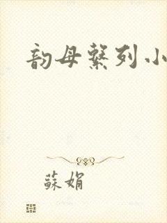 韵母系列小说