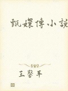 甄嬛传小说封面