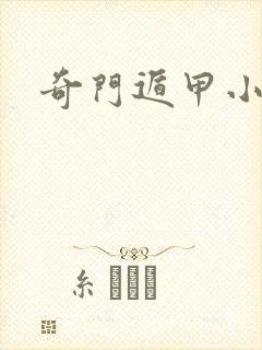 奇门遁甲小说