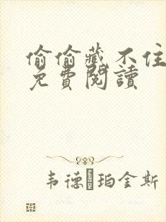 偷偷藏不住小说免费阅读封面