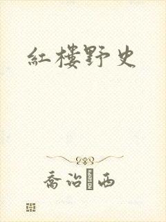 红楼野史封面