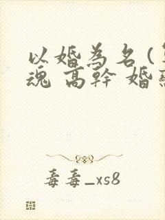 以婚为名 (军魂 高干 婚恋)