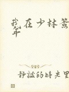 我在少林签到万年封面