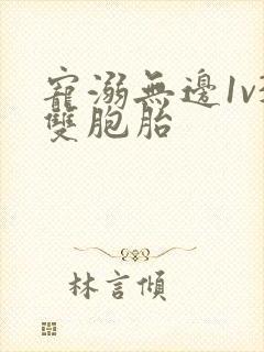 宠溺无边1v3双胞胎封面