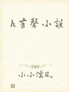 h有声小说