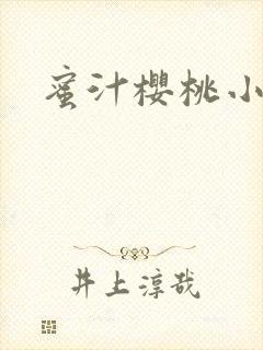 蜜汁樱桃小说封面