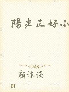 阳光正好小说