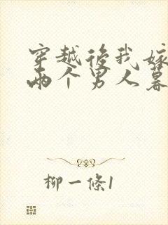 穿越后我嫁给了两个男人暮色酒歌