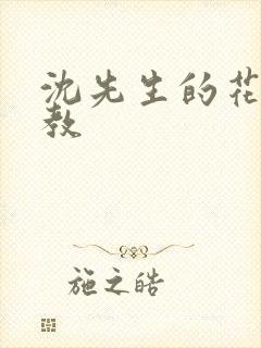 沈先生的花式管教